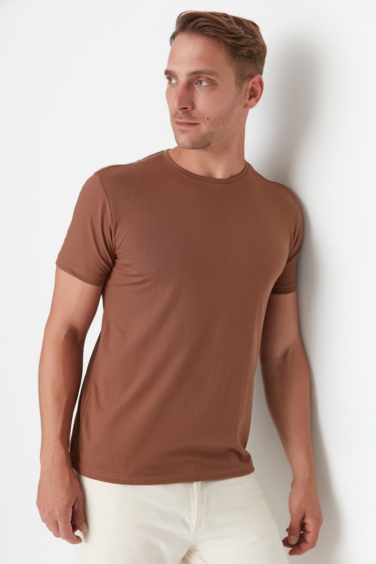 Brown Men's Basic Regular/Normal Fit Crew Neck Short Sleeved T-Shirt TMNSS22TS0271